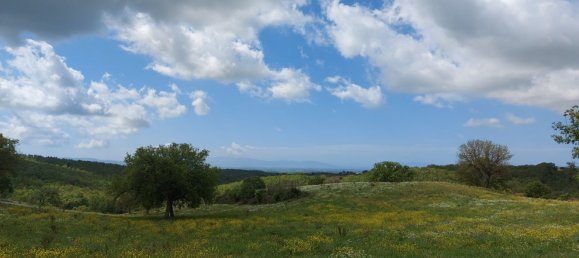 200000m² Land in Magliano in Toscana, Italy No. 138156 24