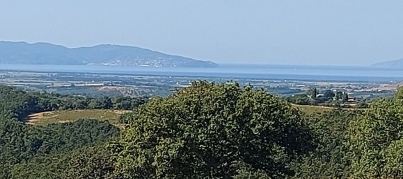 200000m² Land in Magliano in Toscana, Italy No. 138156 47