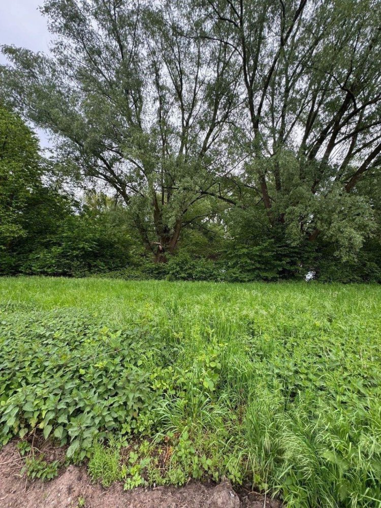 6-Zimmer Haus in Paderborn, Germany, Nr. 334508