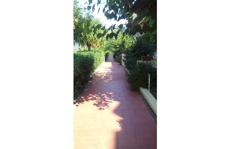 3 rooms Apartment in Centola, Italy No. 255156