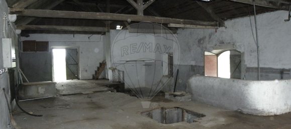 1 bedroom House in Torres Novas, Portugal No. 21688 3