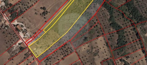 1 bedroom House in Torres Novas, Portugal No. 21688 5