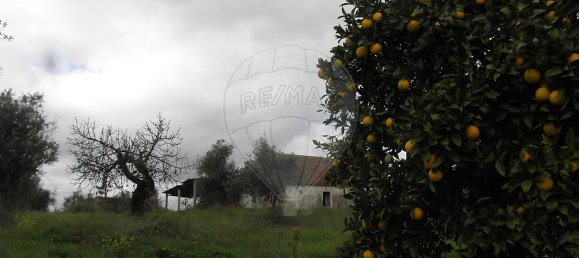 1 bedroom House in Torres Novas, Portugal No. 21688 28