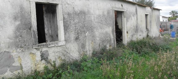 1 bedroom House in Torres Novas, Portugal No. 21688 6