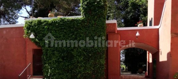 5 rooms Commercial property in Francavilla Fontana, Italy No. 9845 32