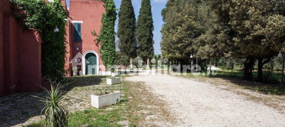 5 rooms Commercial property in Francavilla Fontana, Italy No. 9845 29