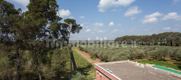 5 rooms Commercial property in Francavilla Fontana, Italy No. 9845 10