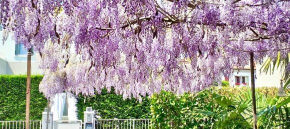 5 rooms House in Casier, Italy No. 72886 19