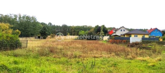  Land in Brandenburg, Germany No. 38929 4