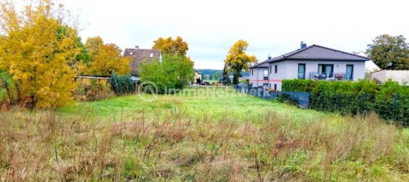  Land in Brandenburg, Germany No. 38929 3