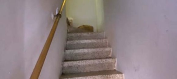 Apartamento de 3 habitaciónes en Levate, Italy No. 8587 25