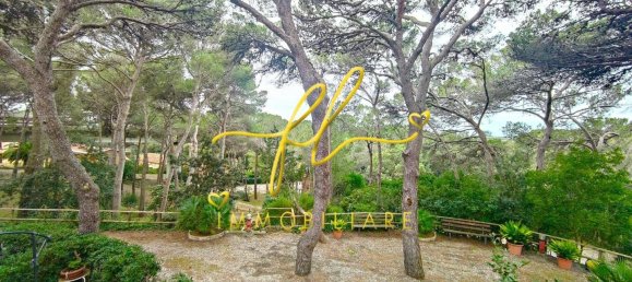 1 bedroom Apartment in Rosignano Marittimo, Italy No. 90220 12