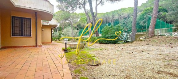 1 bedroom Apartment in Rosignano Marittimo, Italy No. 90220 11