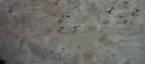 1 غرف نوم منزل في Acoreira, Portugal رقم 10137 2