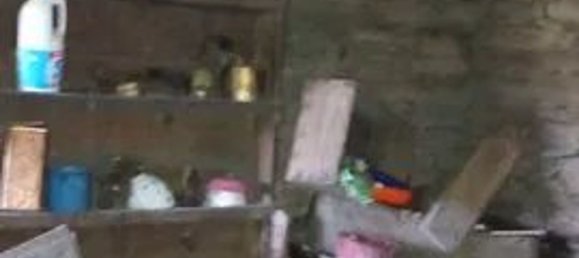 1 غرف نوم منزل في Acoreira, Portugal رقم 10137 4