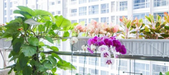 Квартира с 2 спальнями в Биньтхань, Вьетнам № 17580 23