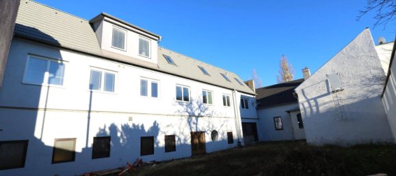 10-salle Propriété commerciale à Traiskirchen, Austria No. 61874 7