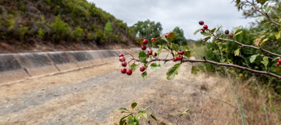 Casa T2 em Sabóia, Portugal N.º 43946 21