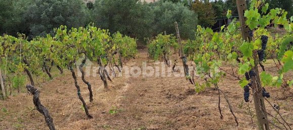 5 bedrooms House in Montespertoli, Italy No. 250812 19