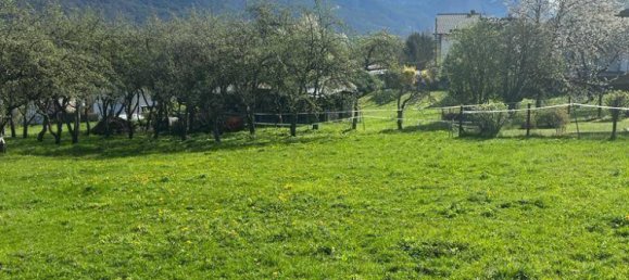 Grundstück in Inzing, Austria, Nr. 76861 4