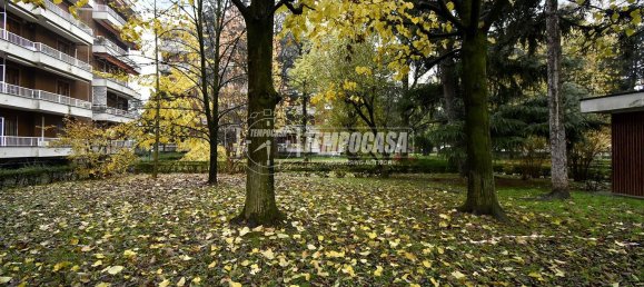 3 rooms Apartment in Cologno Monzese, Italy No. 273862 20