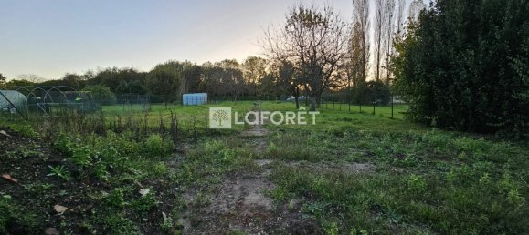 3 rooms House in Mennessis, France No. 210209 5