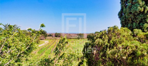 5 Schlafzimmer Wohnung in Argeles-sur-Mer, France, Nr. 309111 3