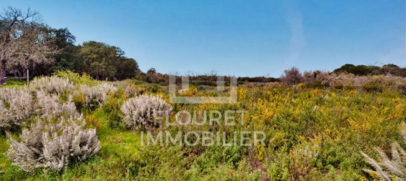 5 Schlafzimmer Wohnung in Argeles-sur-Mer, France, Nr. 309111 4