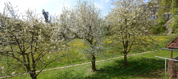 Quinta de 10 divisões em Altotting, Germany N.º 236674 42