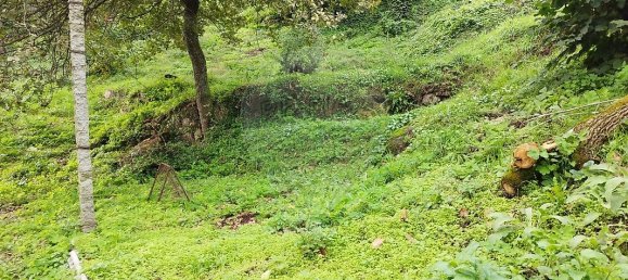 2 bedrooms House in Marco de Canaveses, Portugal No. 30273 16