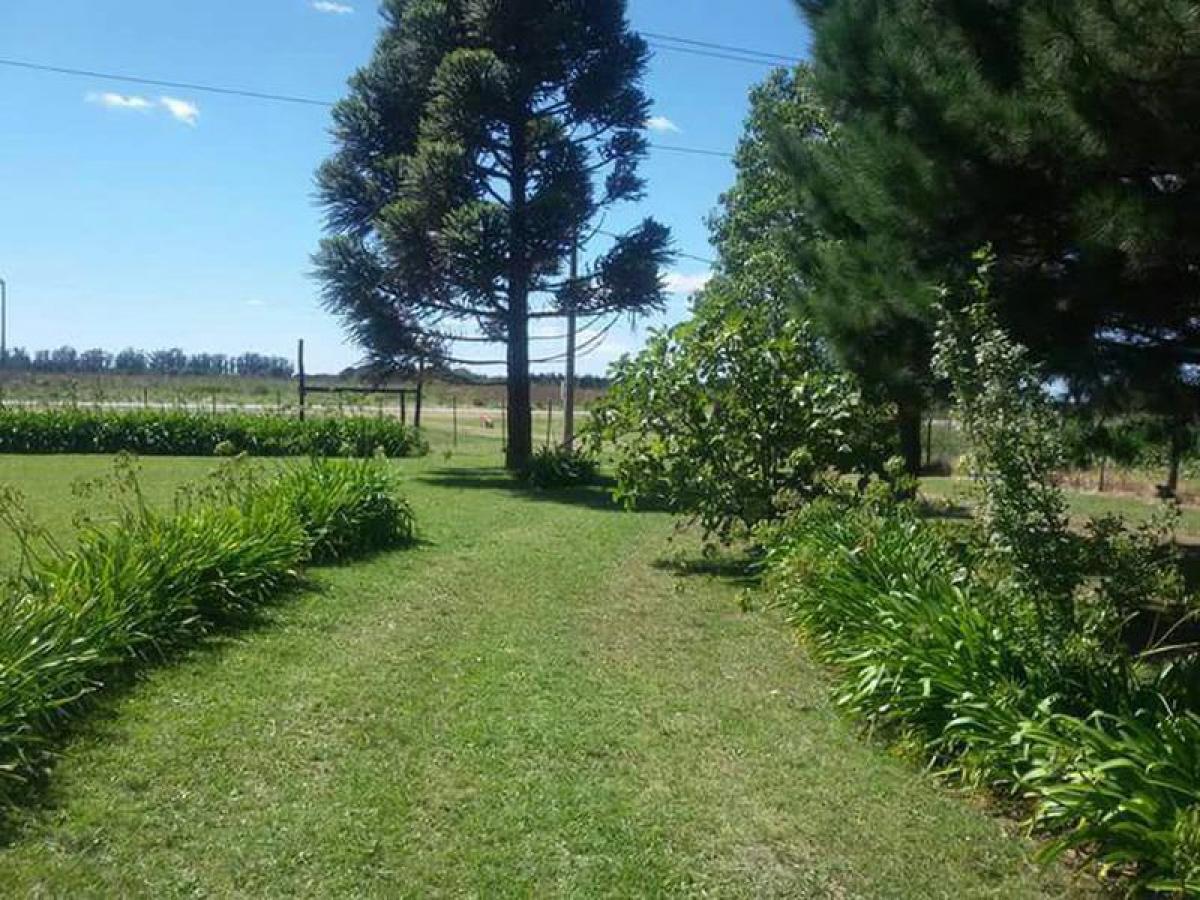 3 bedrooms House in Mar del Plata, Argentina No. 80241