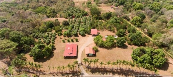 Grundstück in Orotina, Costa Rica, Nr. 1865 3