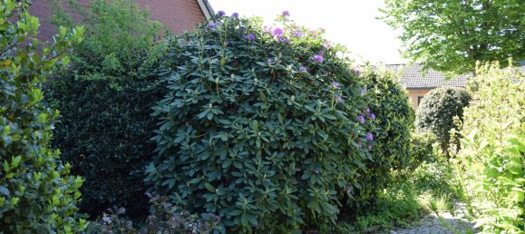 4 غرف نوم تاون هاوس في Diepholz, Germany رقم 155131 38