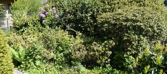 4 غرف نوم تاون هاوس في Diepholz, Germany رقم 155131 37