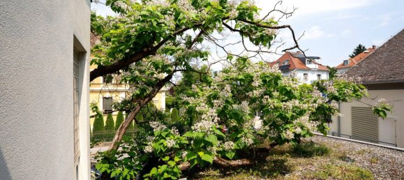 10 rooms House in Waltendorf, Austria No. 152577 24