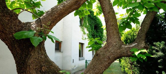 10 rooms House in Waltendorf, Austria No. 152577 39