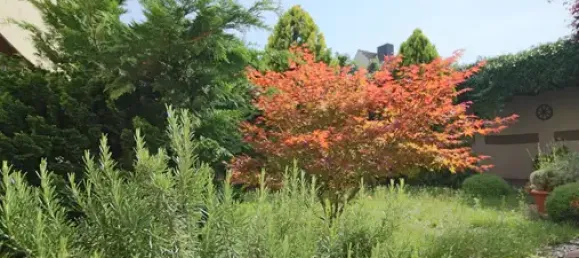 Imóvel comercial de 6 divisões em Borde, Germany N.º 339715 5