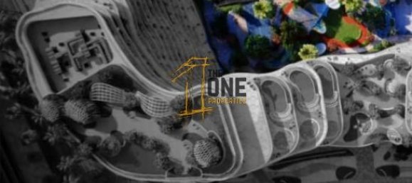 1 غرف نوم شقة في Al Marjan Island, UAE رقم 64525 11