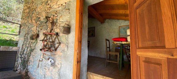 Studio in Brusimpiano, Italy No. 238992 13