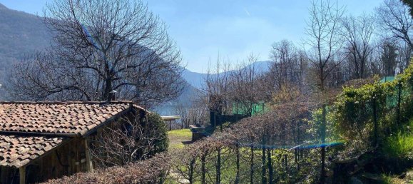 Studio in Brusimpiano, Italy No. 238992 5