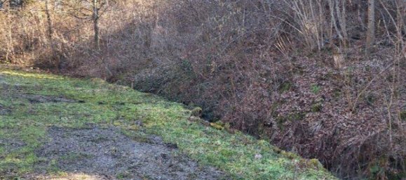  Land in St. Kanzian am Klopeiner See, Austria No. 3161 6