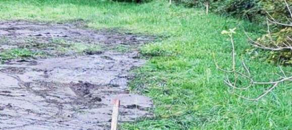  Land in St. Kanzian am Klopeiner See, Austria No. 3161 2