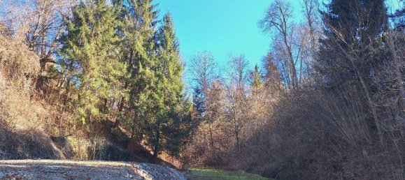  Land in St. Kanzian am Klopeiner See, Austria No. 3161 4