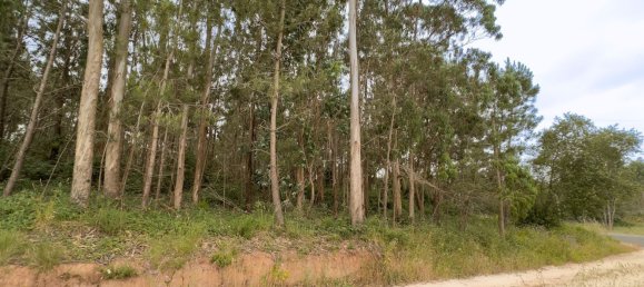  Land in Alcobaca, Portugal No. 201721 5