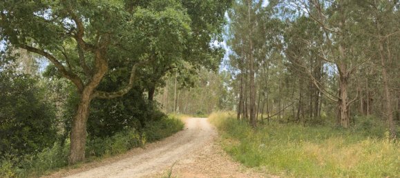  Land in Alcobaca, Portugal No. 201721 4