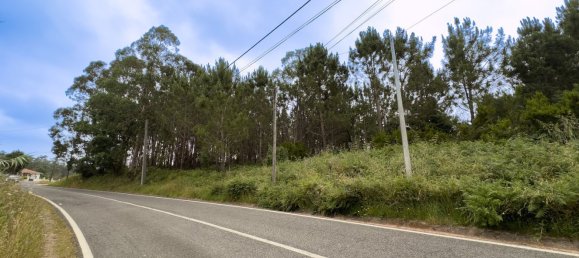  Land in Alcobaca, Portugal No. 201721 7