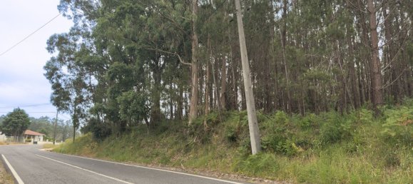  Land in Alcobaca, Portugal No. 201721 8