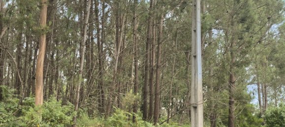  Land in Alcobaca, Portugal No. 201721 12