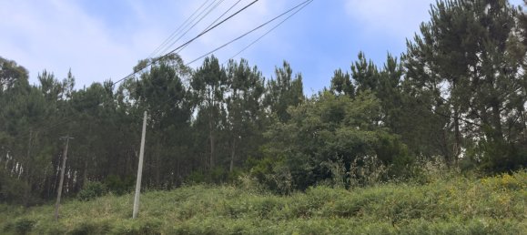  Land in Alcobaca, Portugal No. 201721 14