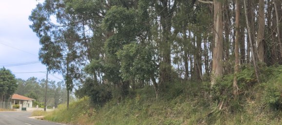  Land in Alcobaca, Portugal No. 201721 9